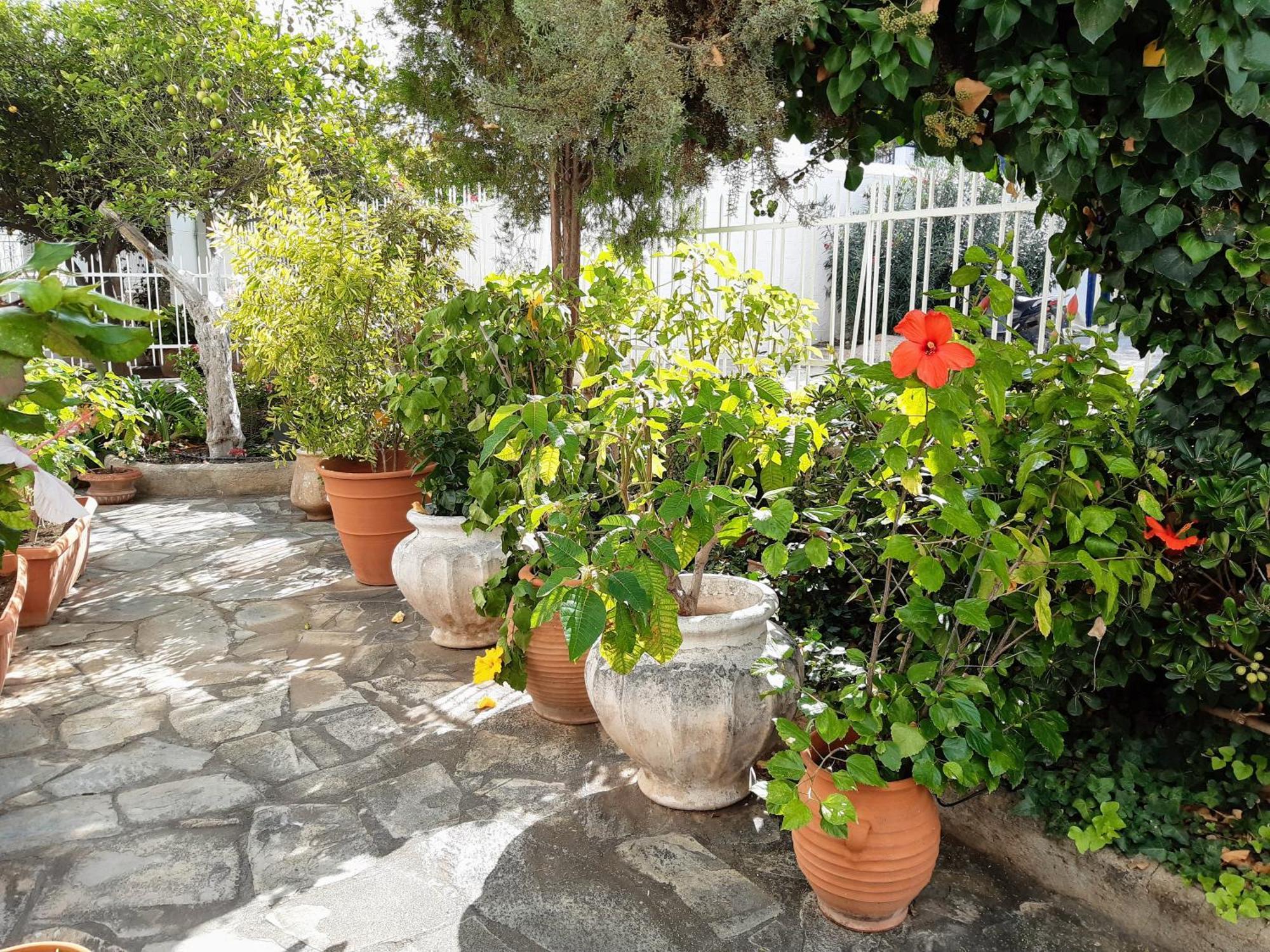 The Elegant Summer House Spétses Dış mekan fotoğraf
