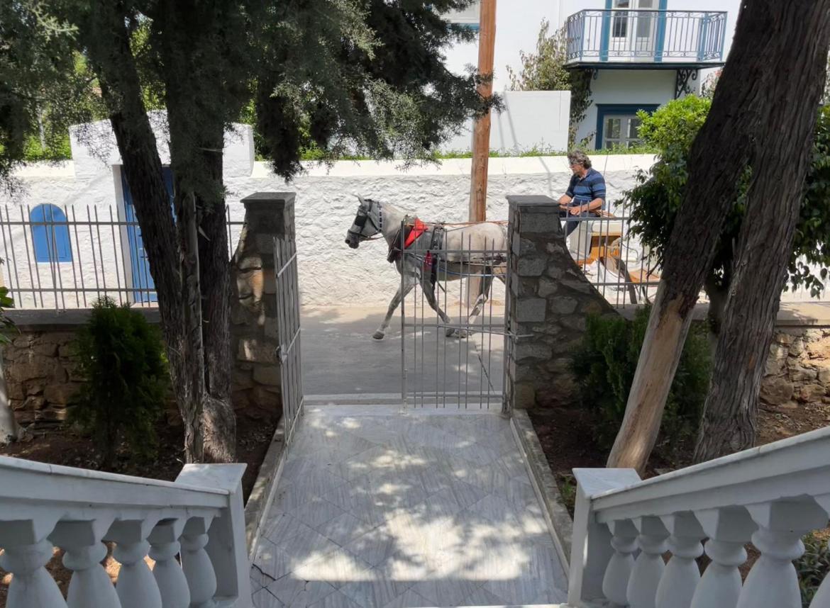 The Elegant Summer House Spétses Dış mekan fotoğraf